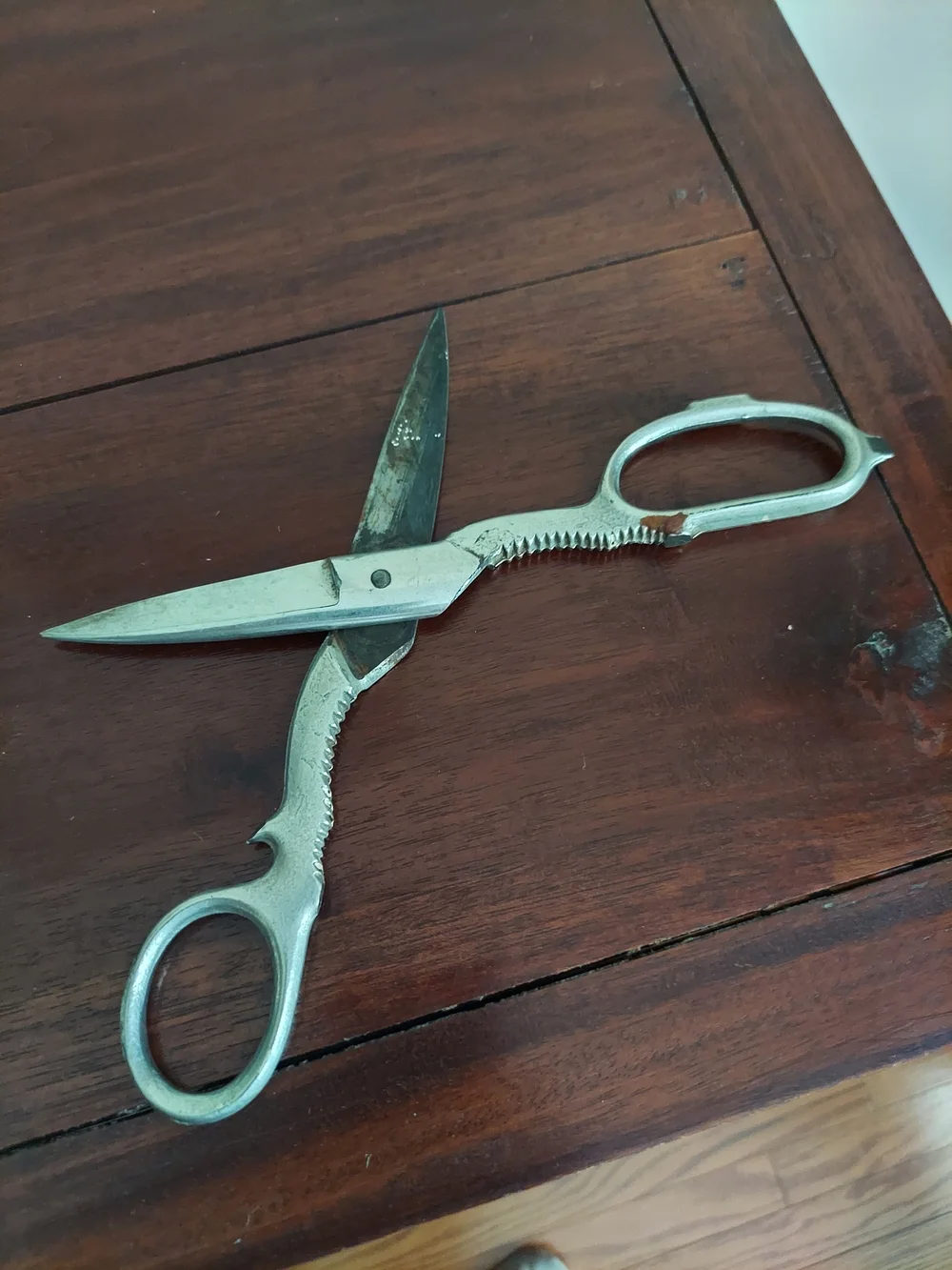 Mid Century Antique Poultry KitchenShears. Featuring Multi purpose bone cracker